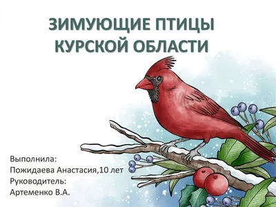В Курской области завершили подсчёт птиц у водоёмов - YouTube