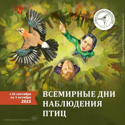 Birds of Russia and Crimea | Птицы России и Крыма's Journal · iNaturalist