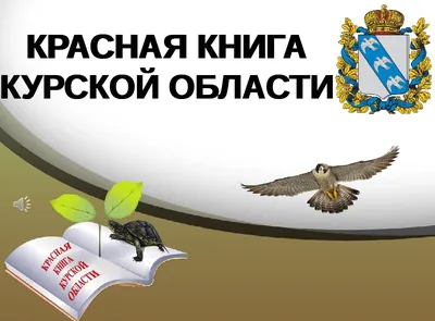 В Курской области назвали зерно, которым лучше всего подкармливать птиц  зимой | Вести-Курск | Дзен