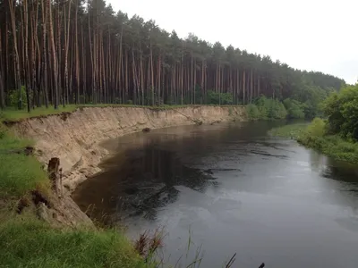 У нас две задачи — зафиксировать факт и снять красиво» Интервью с курскими  орнитологами-любителями | Интернет-журнал Морс | Курск