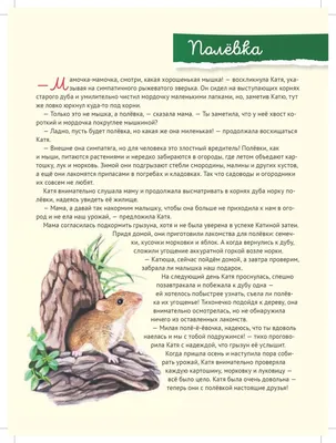 Купить Животные леса № 53 в Минске в Беларуси в интернет-магазине OKi.by с  бесплатной доставкой или самовывозом
