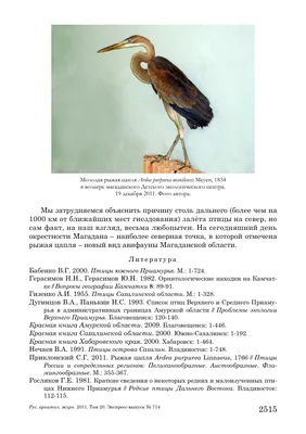 Сихотэ-Алинский государственный природный заповедник - В Сихотэ-Алинском  заповеднике провели учет крупнейшей совы в мире
