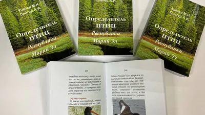 Оршанский район, Республика Марий Эл, Сайт газеты Вперед, Журавль – птица  года