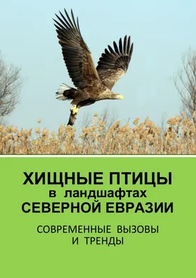 Хищные птицы в ландшафтах Северной Евразии: Современные вызовы и тренды