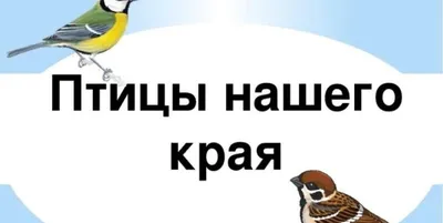 Птицы нашего края, области, страница 41. Воспитателям детских садов,  школьным учителям и педагогам - Маам.ру