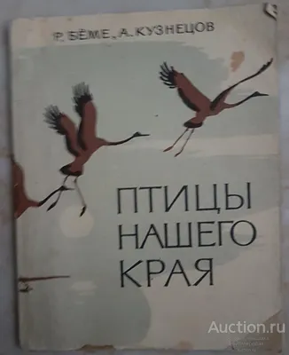 Культурно-спортивный комплекс «Нестерово»: Викторина «Птицы нашего края» |  Культура - Рязанская область. РФ