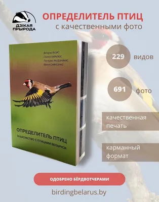 Поделка Птицы нашего края - «Природа родного края!» (№330174-01.07.2022 -  19:22)