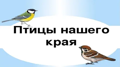 Подведены итоги ежегодной Всероссийской акции «Покормите птиц!» - Сайт  национального парка \"Смоленское поозерье\"