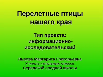 Зимующие птицы нашего края / Устюженский краеведческий музей