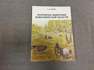 Сбился с пути: в Новосибирской области обнаружили замерзшего фламинго -  KP.RU