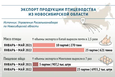 Сезон охоты на водоплавающую и боровую дичь в Новосибирской области  начнется с 26 августа | | Infopro54 - Новости Новосибирска. Новости Сибири