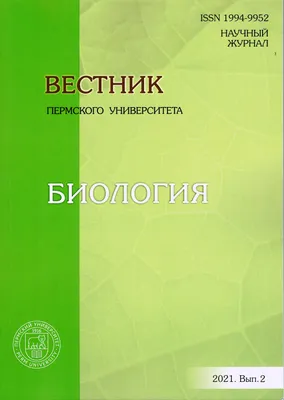 Омскую область покидают кудрявые пеликаны | Последние Новости Омска и Омской  области | БК55