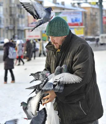 В Омской области взяли под охрану два новых заказника #Омск #Общество  #Сегодня