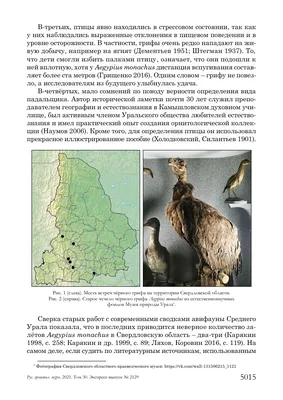 Урок о родной Природе | Русское географическое общество