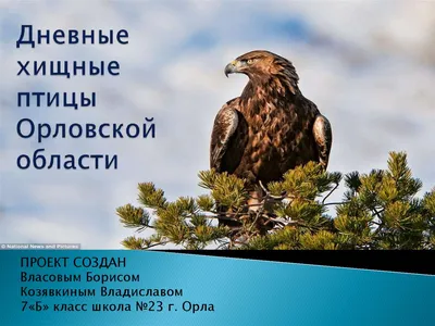 Национальный парк «Орловское Полесье» - Орловская область: туризм и отдых