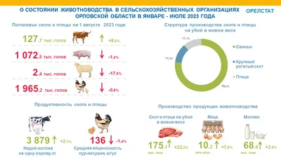 Орловский краеведческий музей предлагает понаблюдать за жизнью наших  пернатых братьев