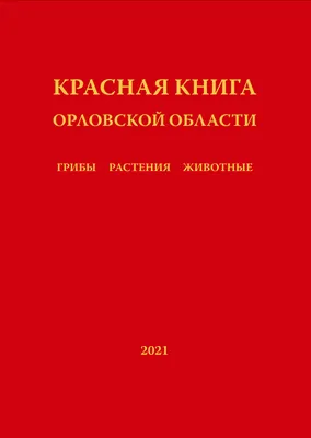 Перья и ярость: в Орловской области состоялись гусиные бои | «Орловские  новости» | Дзен