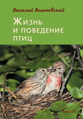 Спасём вместе перелётных птиц от гибели в Имеретинской низменности! »  Общественное Гражданское Движение \"За Сочи!\"