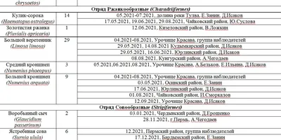 В Перми на двух домах появились стрит-арт объекты с изображением трехглавой  птицы и аммонита - Эхо Москвы в Перми