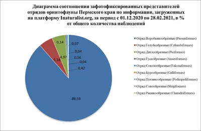 В Перми увеличилось видовое разнообразие птиц | «Пятница»