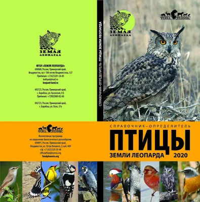Приморье 2016 (часть 2) - Дневник наблюдений птицДневник наблюдений птиц