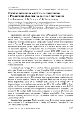 Публикуем красивые фотографии птиц Рязанской области - Рязанские новости.  Новости Рязани и Рязанской области, сегодня и сейчас