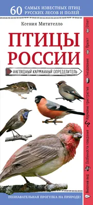 Птицы россии фото фотографии