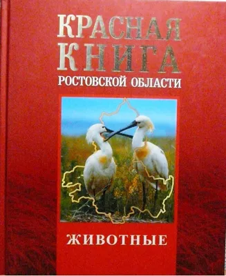 Какие животные водятся в Ростовской области, тест про животных Дона - 29  июля 2023 - 161.ru