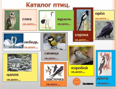 Птицы Ростовской области - Личный сайт Бычкова Лариса Васильевна  воспитатель.