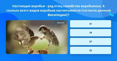 BIRDWATCHING 📷 🎥 📸 СЯБРЫ ПТУШАК птушкі🦅птицы🦢птахи🦆birds🕊️aves🦉 on  Instagram: \"Домо́вый воробе́й — наиболее распространённый вид из рода  настоящих воробьёв семейства воробьиных. Одна из самых известных птиц,  обитающая по соседству с жилищем ...