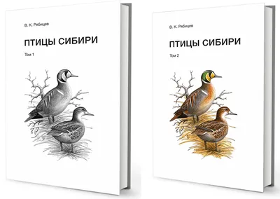 Птицы Сибири (комплект из 2 книг) (Вадим Рябицев) - купить книгу с  доставкой в интернет-магазине «Читай-город». ISBN: 978-5-75-252955-9