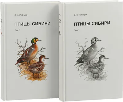 Птицы Сибири. В 2х томах | Рябицев Вадим Константинович - купить с  доставкой по выгодным ценам в интернет-магазине OZON (211018606)