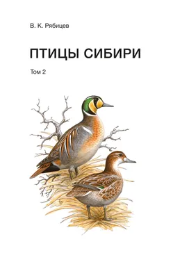 Свидетель - Привезли «что-то ещё про птиц». В книге приведены описания  более 550 видов птиц, зарегистрированных на территории всей Сибири между  Уралом и Дальним Востоком. Это первый полный иллюстрированный определитель птиц  Сибири.