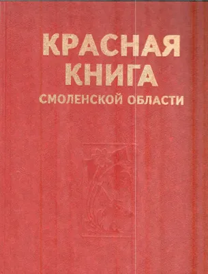 Всем птиц! Как уральцы становятся бёрдвотчерами - 22 января 2020 - e1.ru