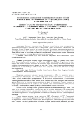 Осенний пролет птиц продолжается - газета «Кафа» новости Феодосии и Крыма