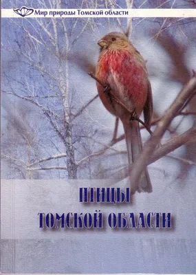 Птицы Томской области - презентация онлайн