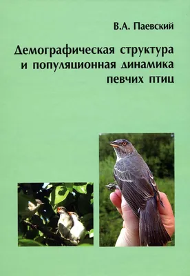 Птицы Крыма - 64 фото