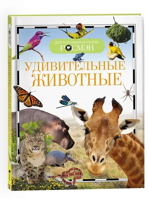 Картины Птицы на холсте, купить картину с птицами в Украине