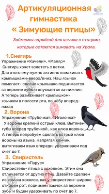 К Синичкиному дню: Музей природы рассказал о зимующих птицах Урала —  Свердловский областной краеведческий музей имени О.Е. Клера