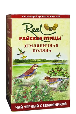 Купить фотообои Райские птицы (#7537) | заказать в каталоге интернет  магазина с ценой и фото