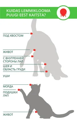 Фоновые фотографии с раной после укуса клеща у собаки