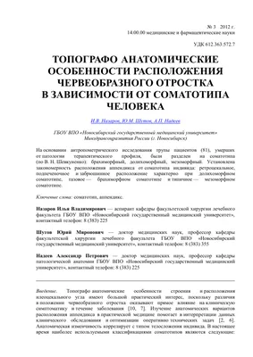 Как определить аппендицит: симптомы и признаки аппендицита у женщин, мужчин  с советами врачей по первой помощи для взрослых