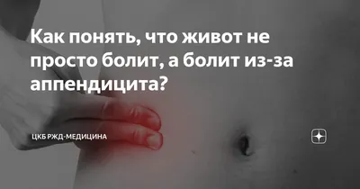 Анатомия человека: Слепая кишка. Червеобразный отросток ( апендикс,  аппендикс ). Строение, стенки червеобразного отростка ( апендикса,  аппендикса ). Строение, стенки слепой кишки.