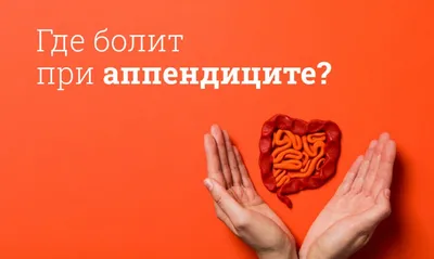 Как понять, что живот не просто болит, а болит из-за аппендицита? | ЦКБ  РЖД-Медицина | Дзен