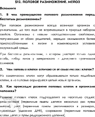 Репродуктивная Система Мужчин Состоит Из Ряда Половых Органов, Которые  Играют Роль В Процессе Размножения Человека. Информационный Графический  Вектор. Клипарты, SVG, векторы, и Набор Иллюстраций Без Оплаты Отчислений.  Image 85277869