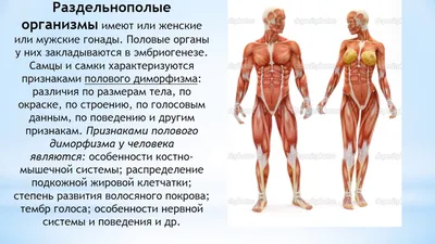 Размножение и индивидуальное развитие организмов. Готовимся к ЕГЭ по  биологии! — Видео | ВКонтакте