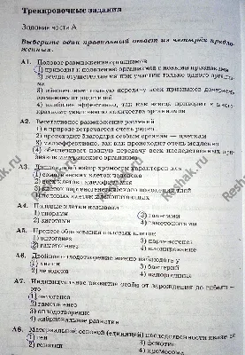 Ответы Mail.ru: Почему Бог создал размножение человека путём совокупления  гениталиями ?