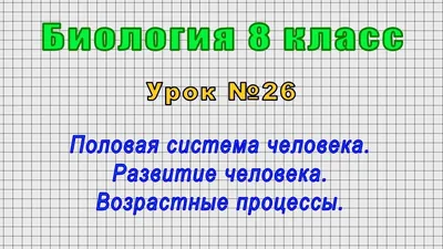 Размножение человека. 8 класс. 1 - презентация онлайн