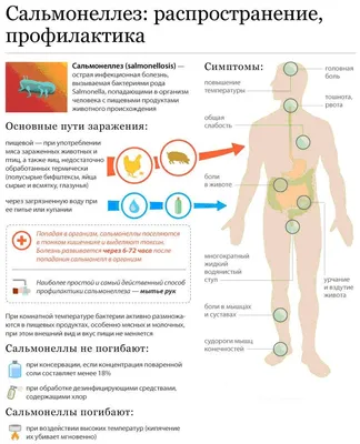 Биология 8 класс $54 Особенности размножения человека - YouTube