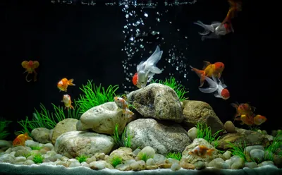 Искусственные аквариумные рыбы, реалистичные движущиеся плавающие Красочные  золотые рыбки, искусственная фотография для аквариума | AliExpress
